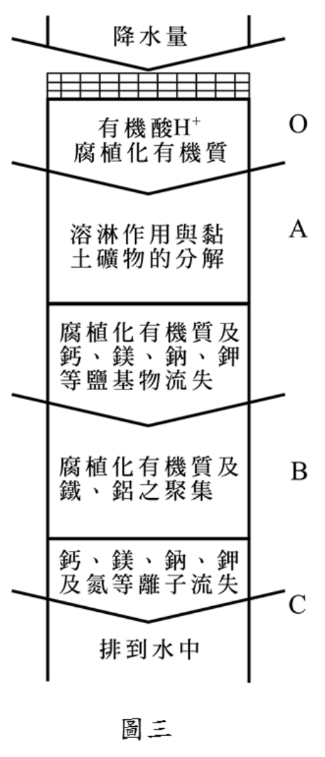 題目圖片