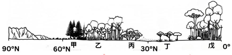 題目圖片