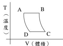 選項 C