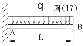 選項 C