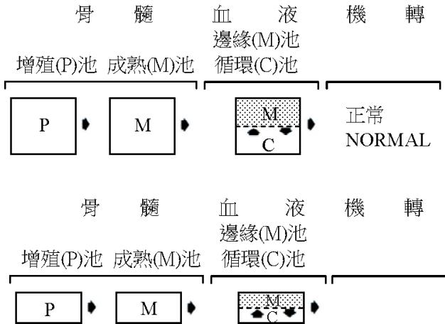 題目圖片