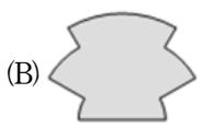 選項 B