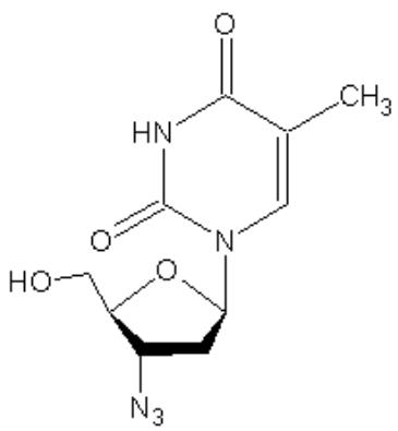 選項 B