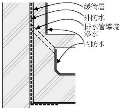 選項 B