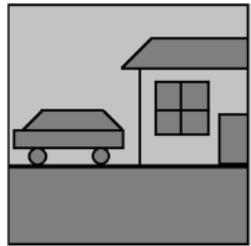 選項 C