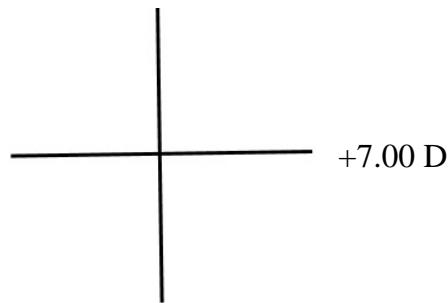 選項 D