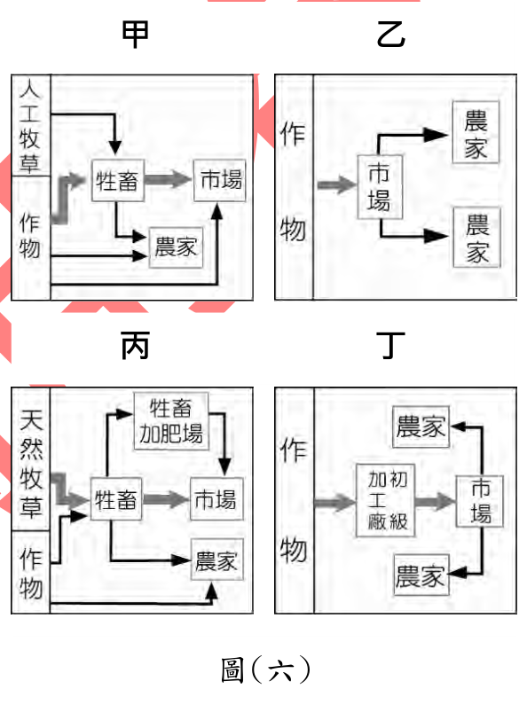 題目圖片