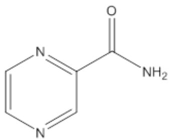 選項 B