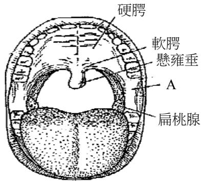 題目圖片