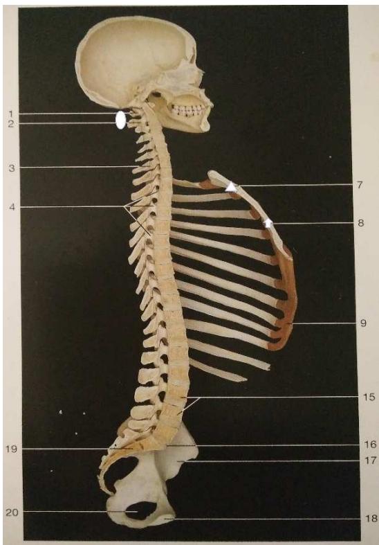 題目圖片