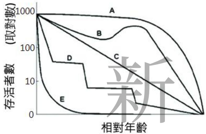 題目圖片