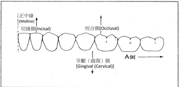 題目圖片