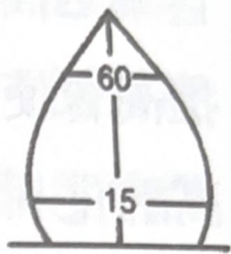 選項 B
