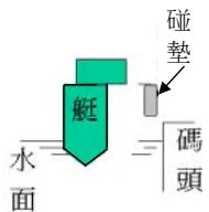 選項 C