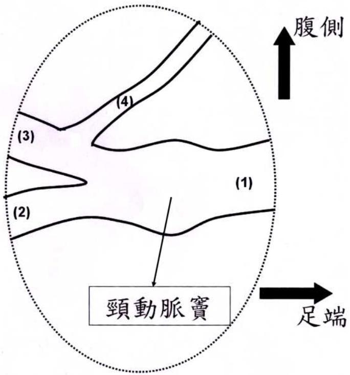 題目圖片