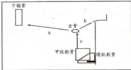 題目圖片