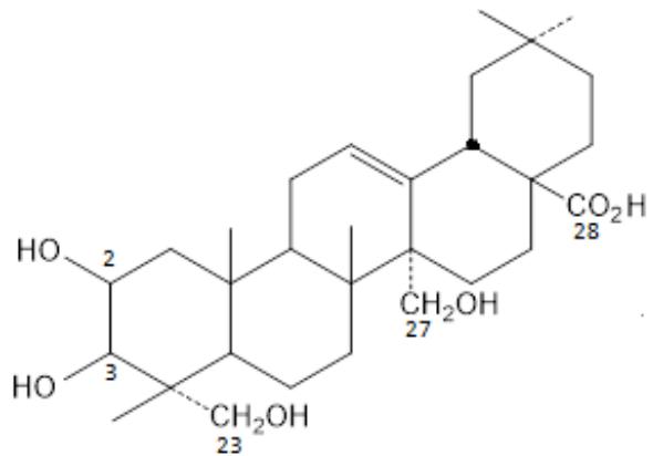 題目圖片