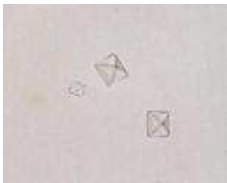 題目圖片