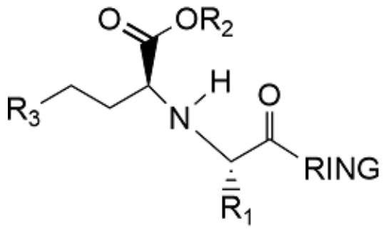 題目圖片