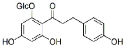 題目圖片