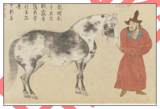 題目圖片