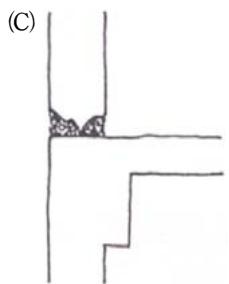 選項 C