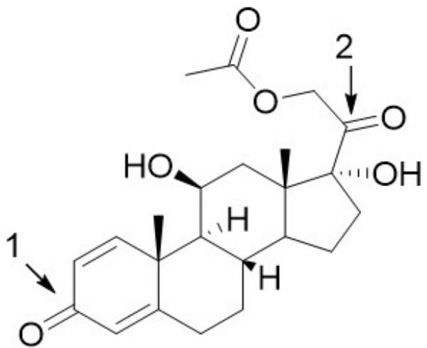 題目圖片