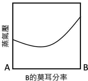 選項 C
