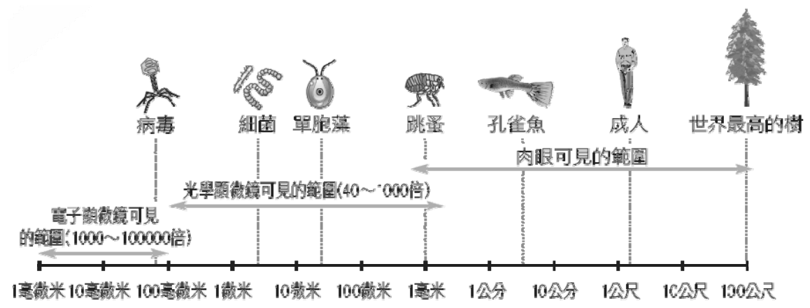 題目圖片
