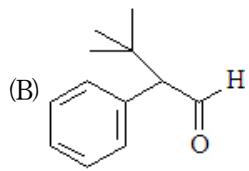 選項 B