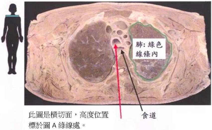 題目圖片