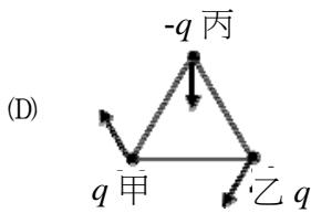 選項 D