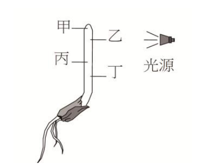 題目圖片