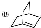 選項 B