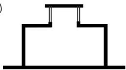 選項 B