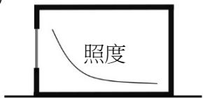 選項 C