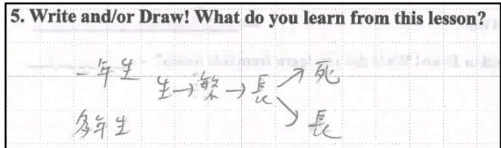 題目圖片