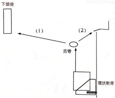 題目圖片