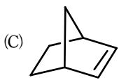 選項 C