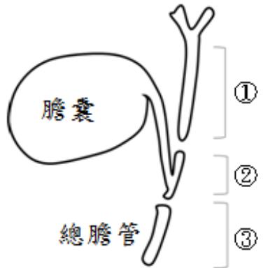 題目圖片