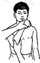 選項 C