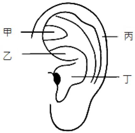 題目圖片