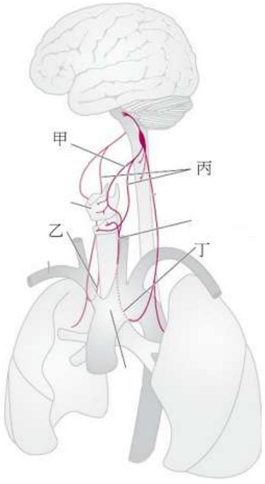題目圖片