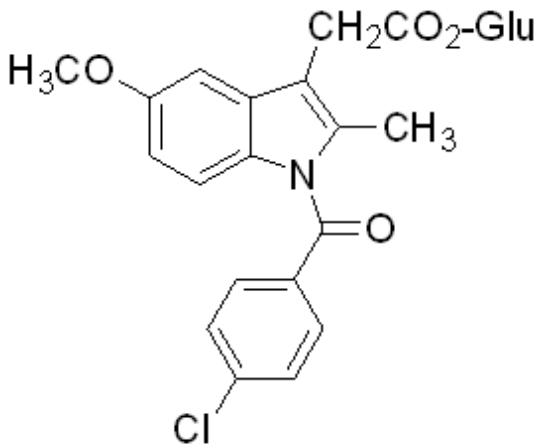 選項 B