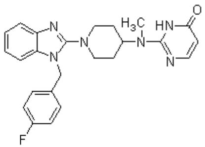 選項 B