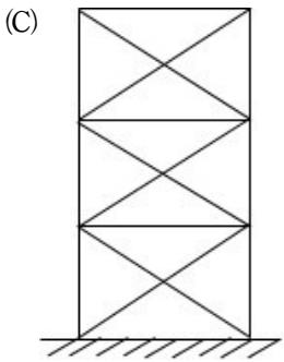 選項 C