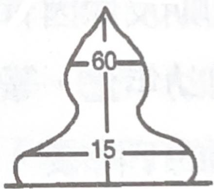 選項 D