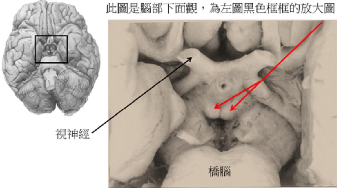 題目圖片