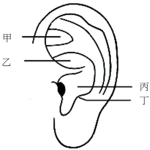 題目圖片