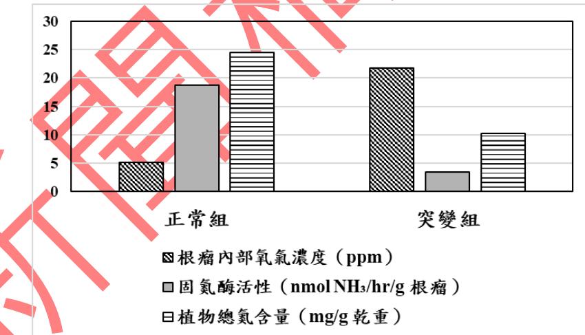 題目圖片
